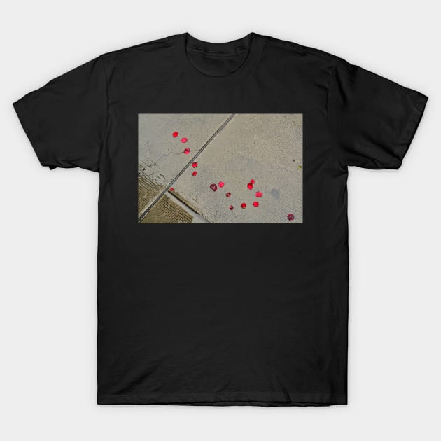 Lost Petals T-Shirt by AlexaZari